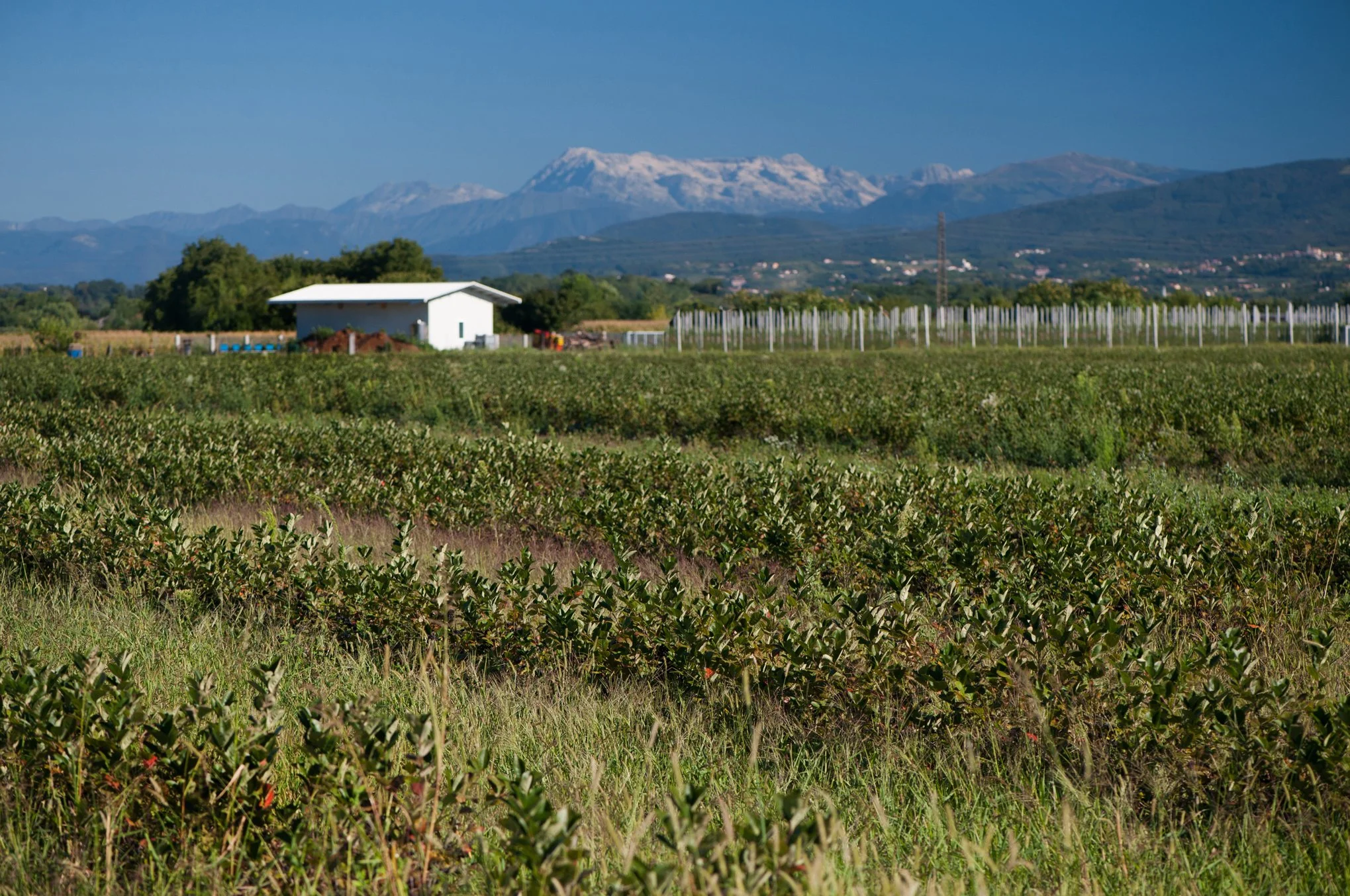 Agriturismo 4PR